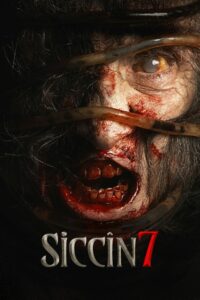 Siccin 7