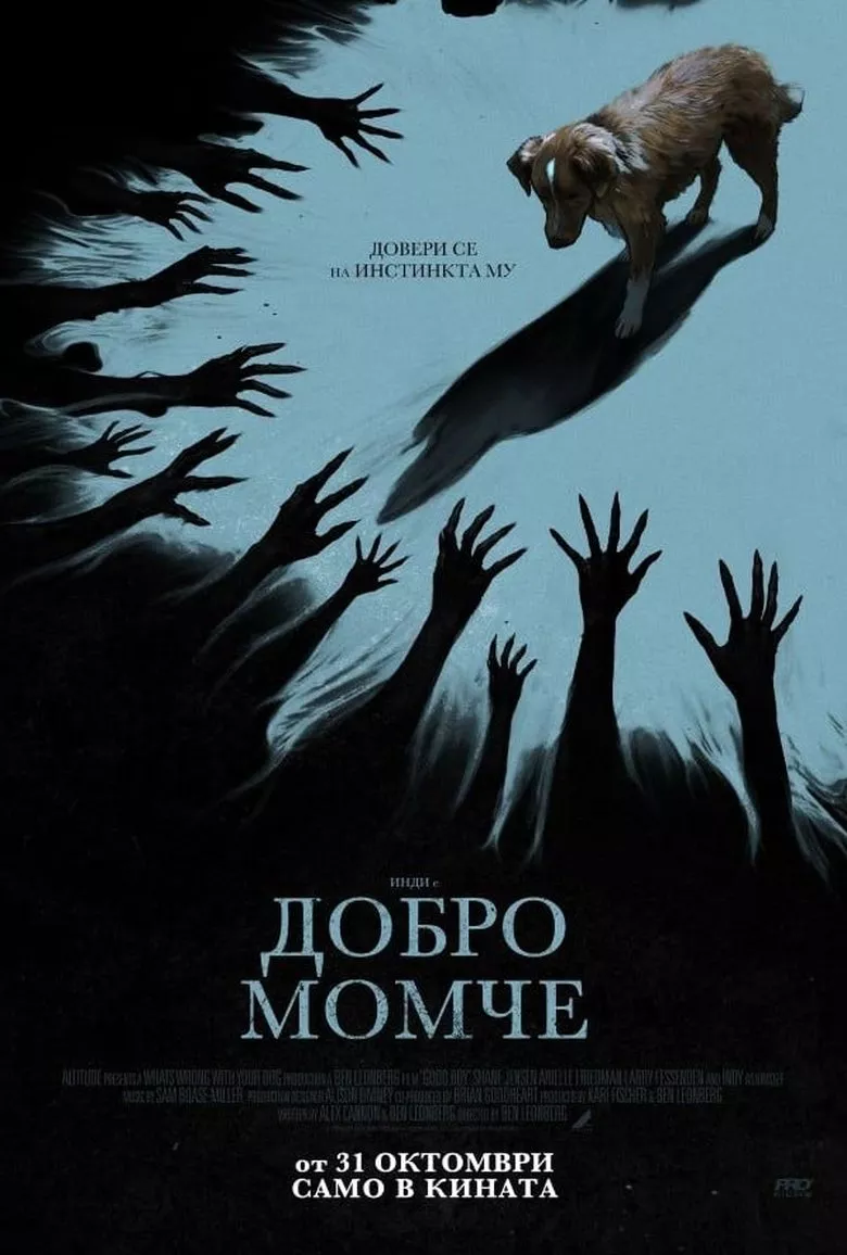 Добро момче